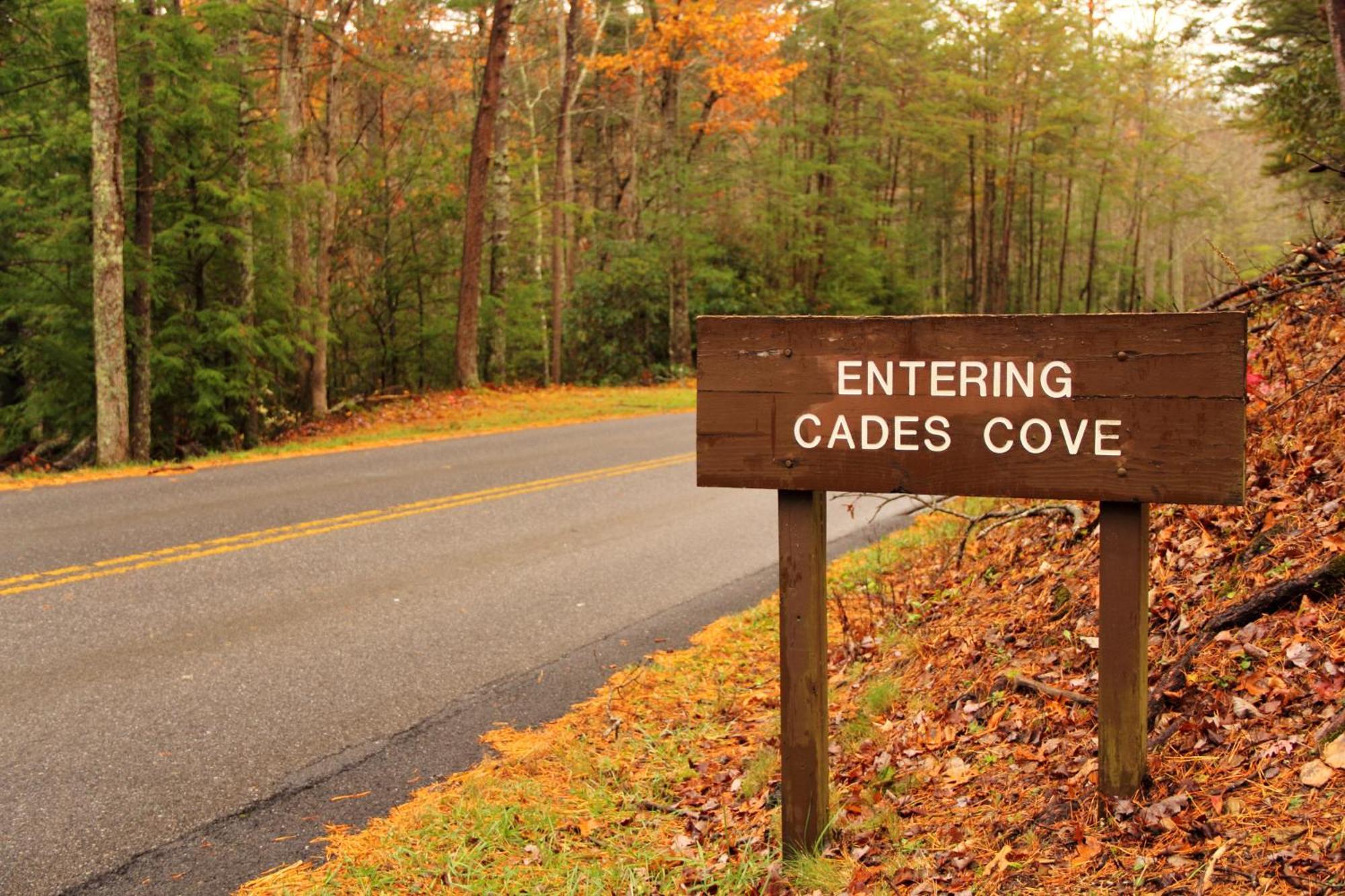 Wilderness Lodge, Hot Tub, Game Room, Pool Access, 1089 Free Tickets Each Paid Day, Dollywood And M Сивиървил Екстериор снимка