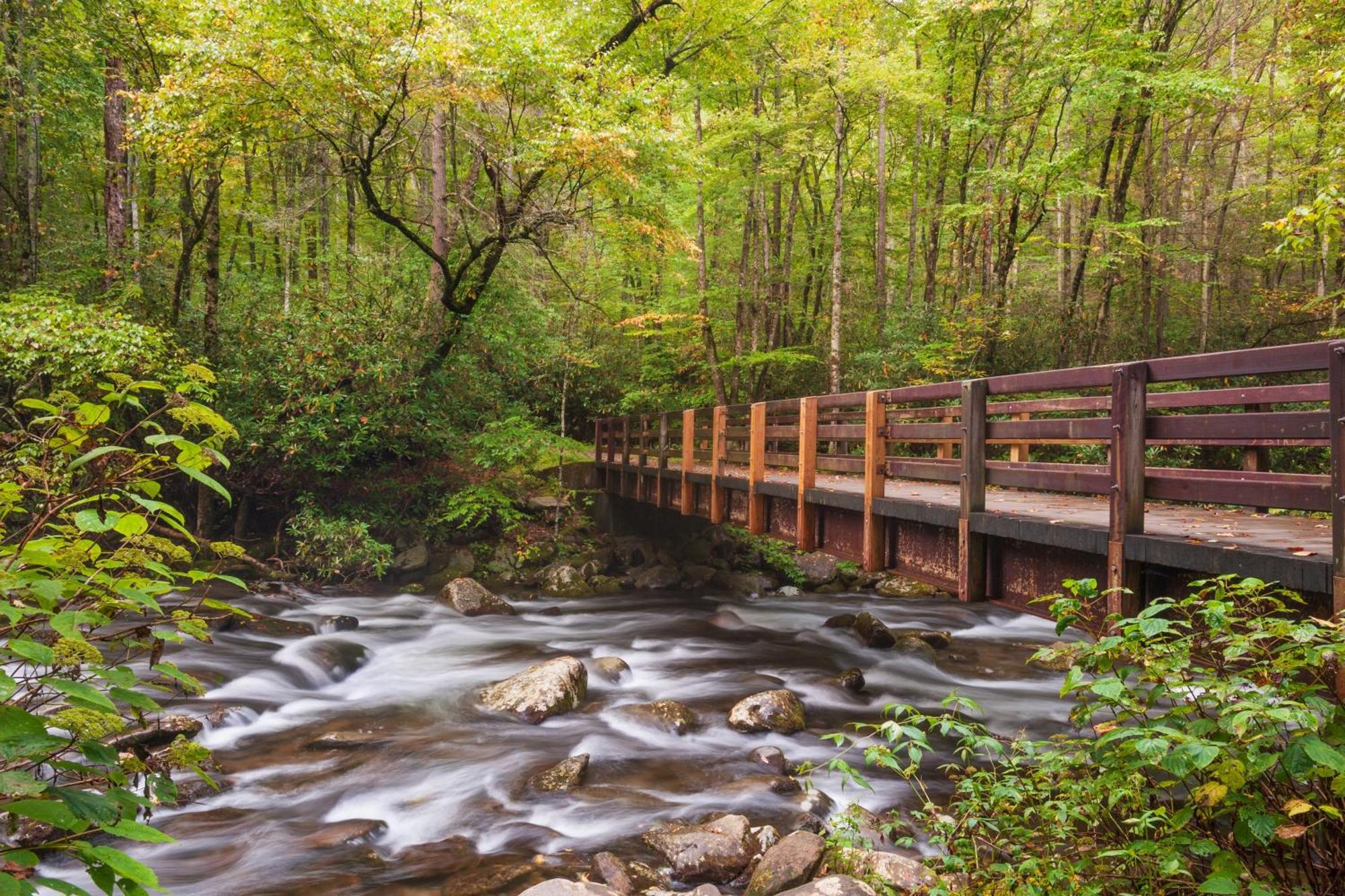 Wilderness Lodge, Hot Tub, Game Room, Pool Access, 1089 Free Tickets Each Paid Day, Dollywood And M Сивиървил Екстериор снимка